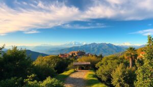 סקירת יעדים מקיפה