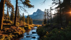 נסיעה עסקית רגועה